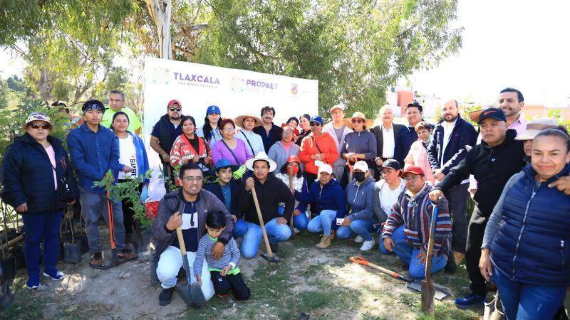 reforestación chiautempan árboles sembrando árboles 6